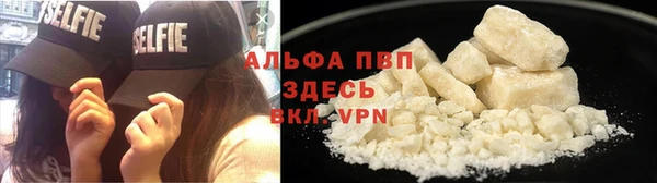 шишки Сосновка
