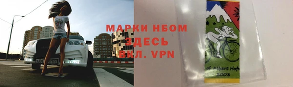 шишки Сосновка