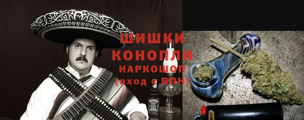 бошки Белокуриха