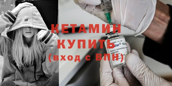шишки Сосновка