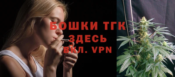 бошки Белокуриха